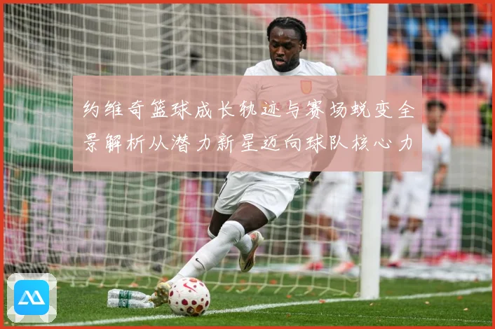 约维奇篮球成长轨迹与赛场蜕变全景解析从潜力新星迈向球队核心力量之路-深度解析