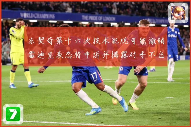 东契奇第十六次技术犯规可能撤销雷迪克表态将申诉并揭露对手不当赛场复盘-深度解析